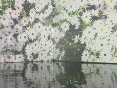 -芭提雅3D美术馆