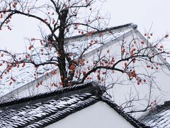 -北寺塔