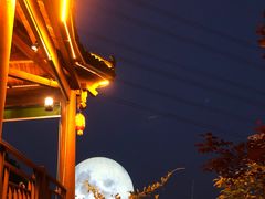 -巴倒烫陆派重庆火锅(南山店)