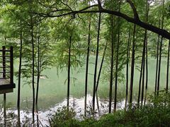 -广州市石门国家森林公园
