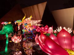 -武汉园博园(武汉自然博物馆)
