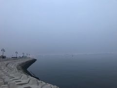 -东港音乐喷泉广场