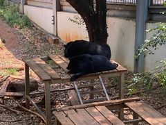 -昆明动物园