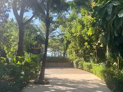 -三亚湾海居铂尔曼度假酒店