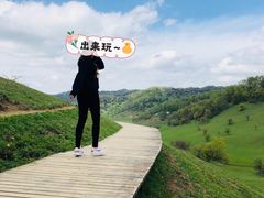 -关山草原
