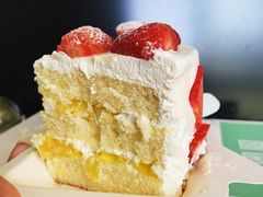 -维尔纳斯·生日蛋糕动物奶油冰淇淋蛋糕(人大店)