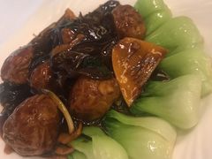 -雪园上海饭店(港湾1号店)