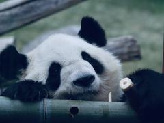 -鄂尔多斯野生动物园