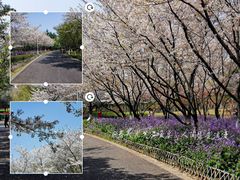 -白塘生态植物园