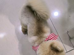 -佳雯宠物医院(金华南路分院)