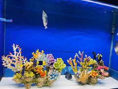 -海合安成都极地海洋公园