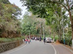 -火炉山森林公园