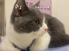 -芭比堂动物医院广州顽皮分院