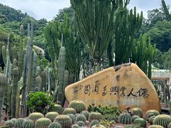 -深圳仙湖植物园