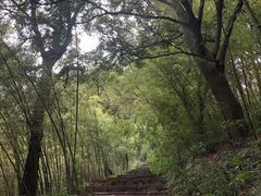 -紫金山山顶公园