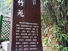 -潜山国家森林公园