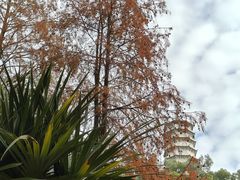 -深圳国际园林花卉博览园