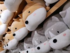 -南京时尚莱迪购物广场(正洪街店)