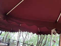-巴倒烫陆派重庆火锅(南山店)
