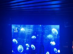 -唱吧麦颂KTV·派对(东坝店)