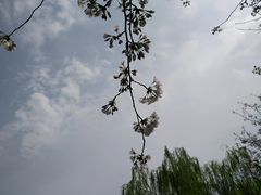 -范蠡湖公园