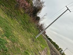 -广富林郊野公园