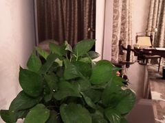 -上海虹桥迎宾馆