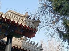 -保定直隶总督署博物馆