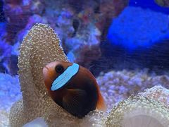 -上海海洋水族馆