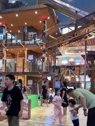 -卡通尼·Safari非洲探索乐园·生日会(金桥国际商业广场店)