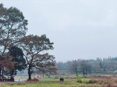 -塔川景区