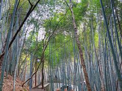 -敬亭山风景名胜区