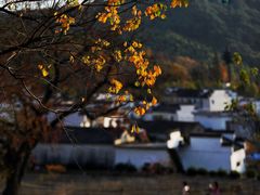 -塔川景区