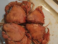 -蚝老板海鲜烧烤大排档(码头店)