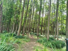 -渤公岛生态公园