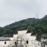 ひまわり
