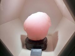 -安徽省地质博物馆