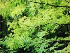 -北京上方山国家森林公园