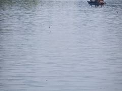 -厉家菜(德胜门总店)