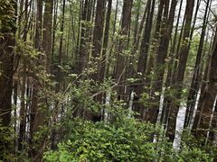 -青龙山国家森林公园