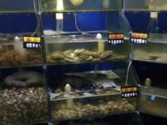 -雅逸居海鲜小厨