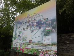 -盛世牡丹苑生态文化旅游区