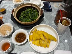 姜蓉白切鸡-熠盛粤味·顺德桑拿鸡(永康路店)