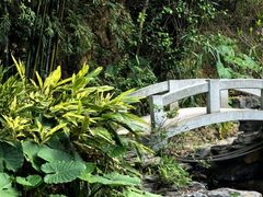 -广州市白云山风景名胜区
