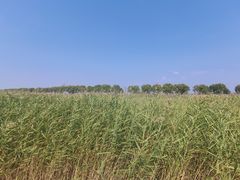 -野鸭湖国家湿地公园