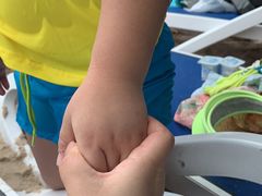 -亚马逊丛林水乐园