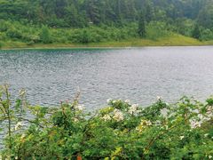 -武陵山森林公园