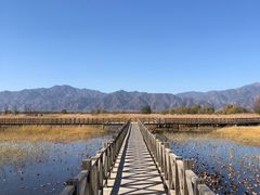 -野鸭湖国家湿地公园
