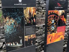 -怀托摩萤火虫洞