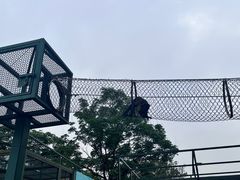 -无锡动物园·太湖欢乐园